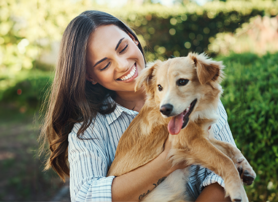 apawpacho alimento para perros
