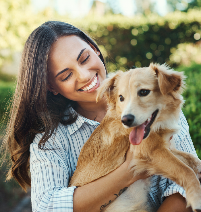 apawpacho alimento para perros