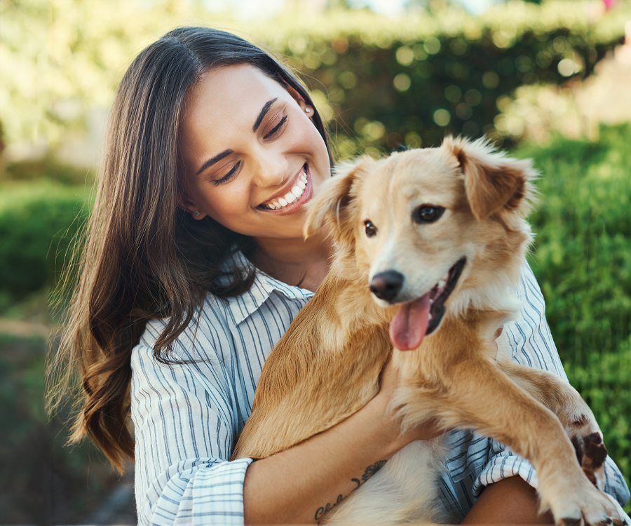 apawpacho alimento para perros