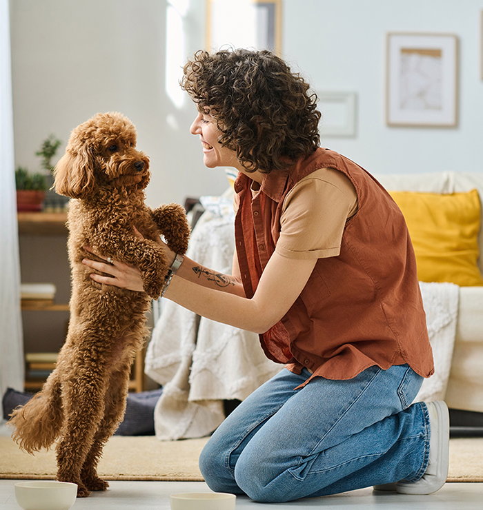 apawpacho alimento para perros