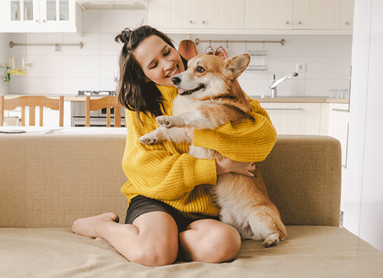 apawpacho alimento para perros