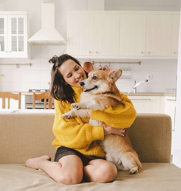 apawpacho alimento para perros