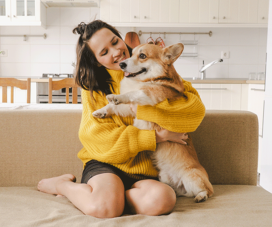 apawpacho alimento para perros