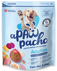 croquetas perros adultos