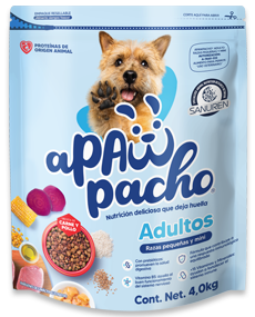 croquetas perros asultos