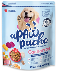 croquetas perros cachorros