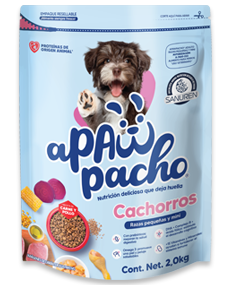 croquetas perros cachorros