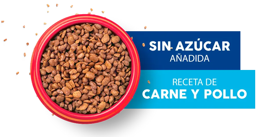 croquetas sin azúcar